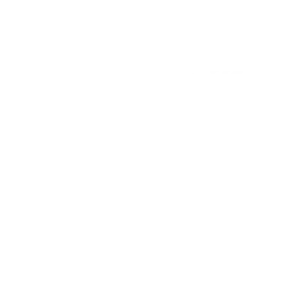 physician